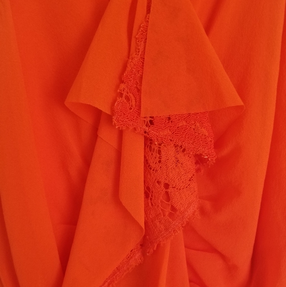 Proenza Schouler Ruffled Lace Panel Dress - Picture 12 of 16